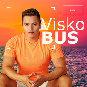 Visko Bus