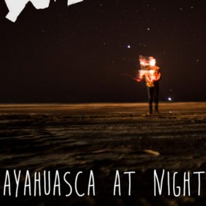 Ayahuasca at Night