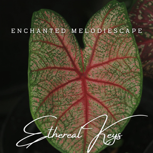 Whispering Resonance