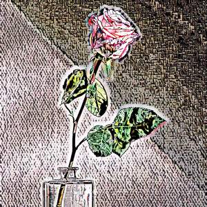 Discontinuation August