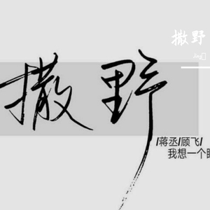 撒野（翻自 抖音热门伴奏）