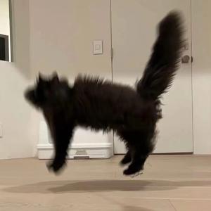 恶魔的爱（前半段）