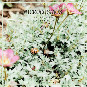 Microcosmos