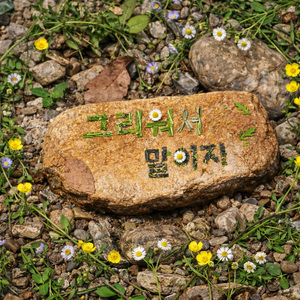 안 가면 좋겠다