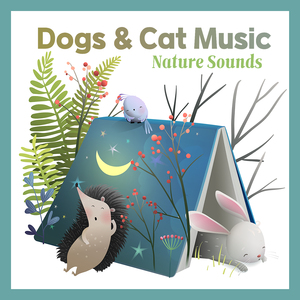 별똥별 (밤풀벌레소리)