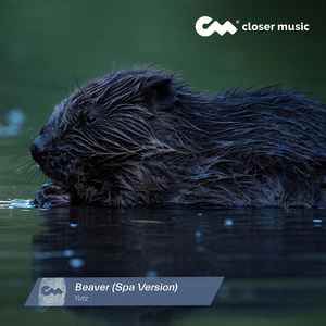 Beaver (Spa Version)