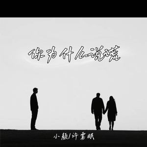 你为什么说谎