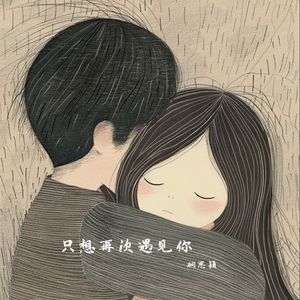 只想再次遇见你