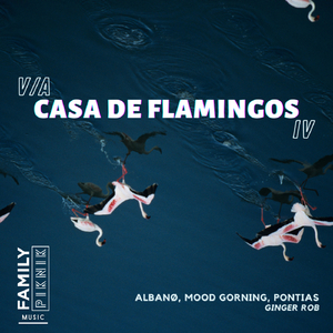 Ginger Rob (Original Mix)