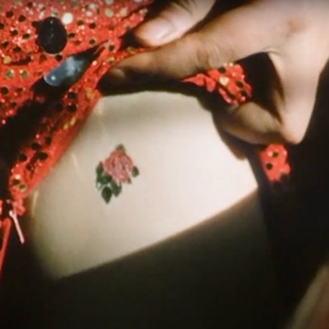 我是你要找的牡丹吗？