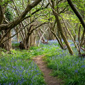 有趣休息中情怀