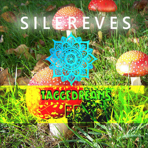 Taggedreams
