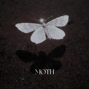飞蛾 Moth Prod.Nino