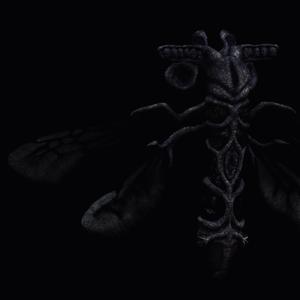 The Mile That Light Will Never Find