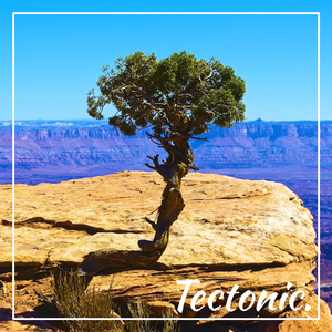 Tectonic