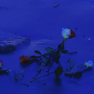 Playboi Carti-Rich Hoes（faukeLuv remix）