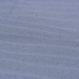 우와 이 노래 개좋다' 에서 개를 담당하고 있습니다