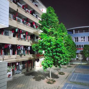 Night at Luoding Middle School