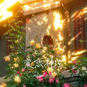 爱恋神经（prod  by.N2UtheHartlocker）