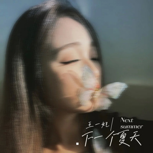 下一个夏天