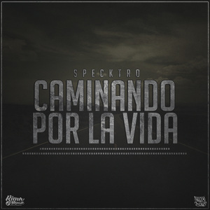 Caminando por la Vida