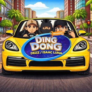 DINGDONG