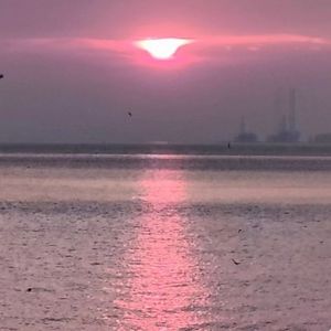 爱如潮水+说散就散