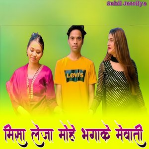 मिसा लेजा मोहे भगाके मेवाती