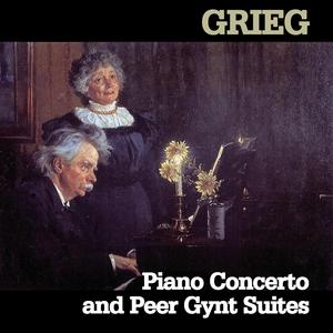 Piano Concerto in A Minor, Op. 16: I. Allegro molto moderato