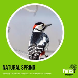 The Haunting Hooting of the Owl