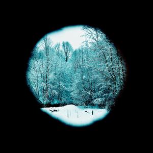 That Big Trampoline Under The Stars