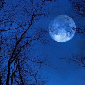 失眠在凌晨三点