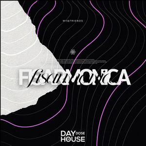Fisarmonica