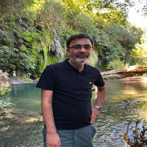 Balık-Hafızalı (AI Version)