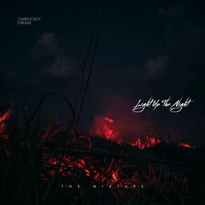 Light Up The Night (feat. Thraxx)