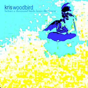 Crashed and Came out as a Sparrow