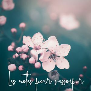 Chansons douces pour toi