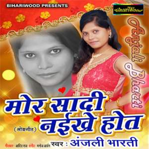 Driver Saiyan Hakata