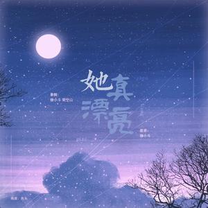 她真漂亮（翻自 王晰&高杨）