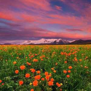 长江之歌钢琴演奏版