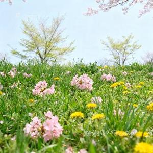 自找的痛又何必喊疼 (Cover 王佳音)