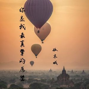 你是我最真挚的愿望