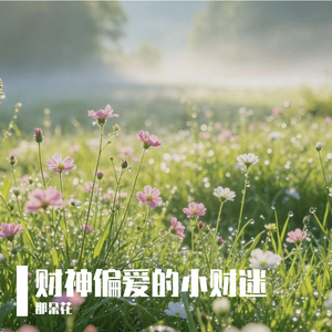 财神偏爱的小财迷