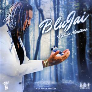 2 Birds 1 Stone (feat. Gocu)