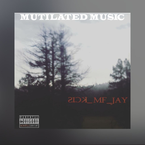 SICK_MF_JAY Album (feat. CARBON X, Rob Zilla, Kaze The Wolf & LowTow & Shadow The Ghost)