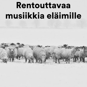 The Cow Goes Moo & Relax