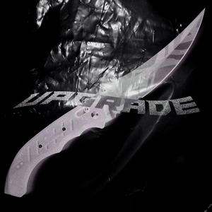 UPGRADE
