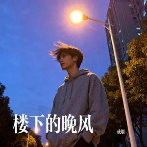 楼下的晚风