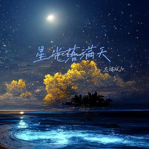 星光落满天