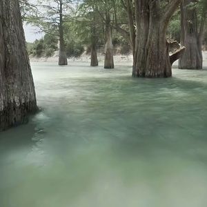 “ 森林”- × Old school × Type Beat